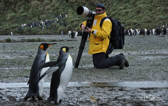 Pronto para fotografar os pnguins de Salisbury Plain, na Geórgia do Sul